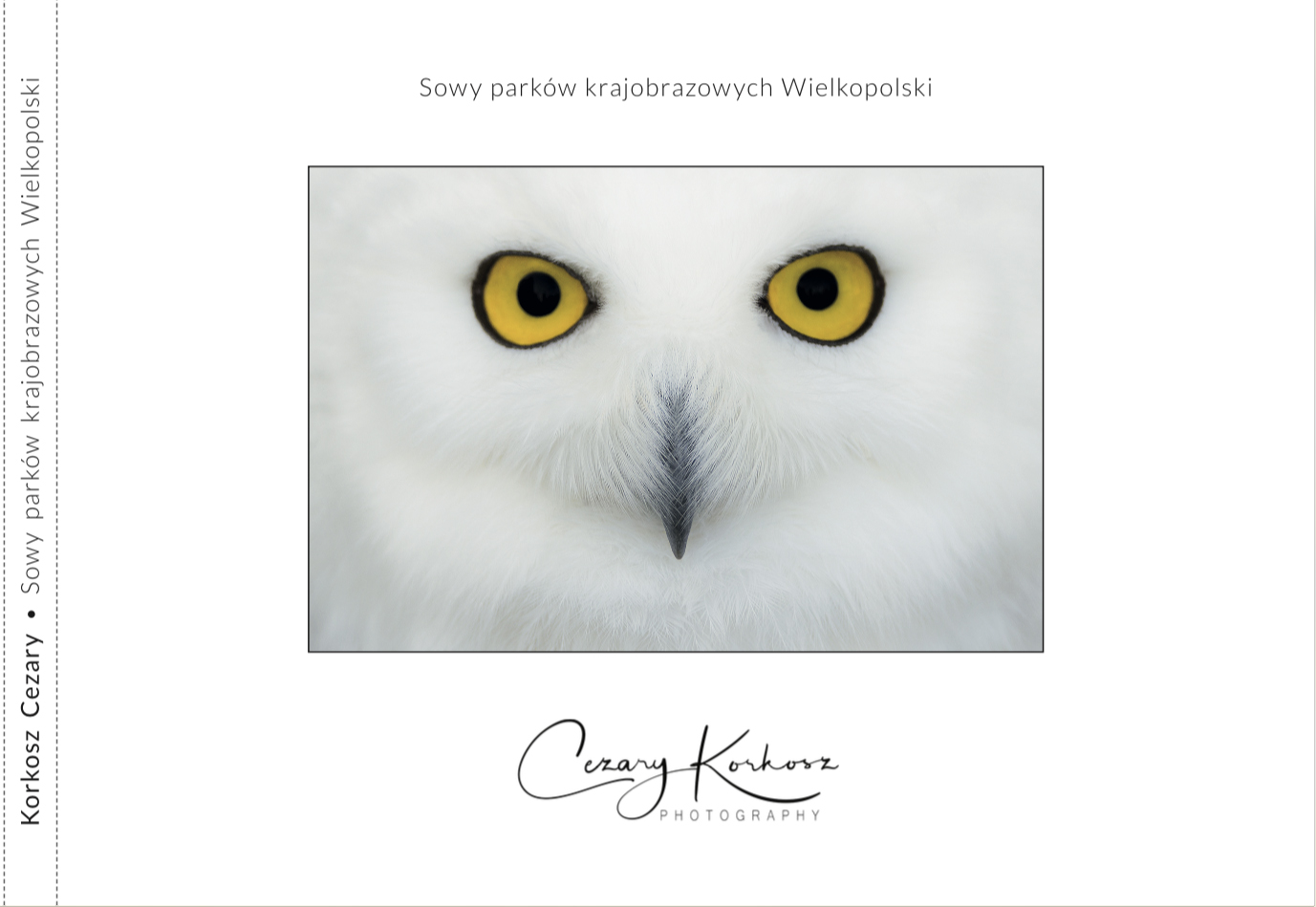 SOWY